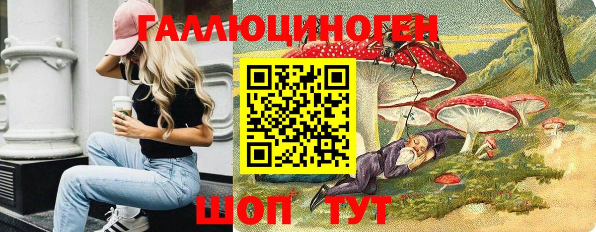 Пятигорск  Галлюциногенные грибы Psilocybe  Вход с VPN 