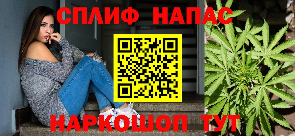Бошки марихуана сатива Пятигорск